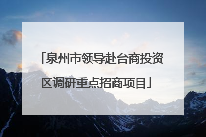 泉州市领导赴台商投资区调研重点招商项目