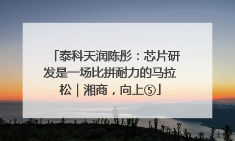 泰科天润陈彤：芯片研发是一场比拼耐力的马拉松｜湘商，向上⑤