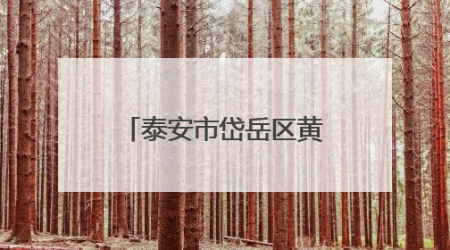 泰安市岱岳区黄前镇：小学生“沉浸式”学传统 粽香荷包暖夕阳