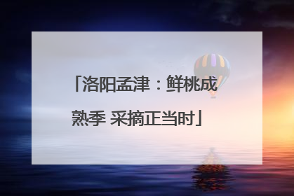 洛阳孟津：鲜桃成熟季 采摘正当时