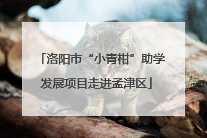 洛阳市“小青柑”助学发展项目走进孟津区