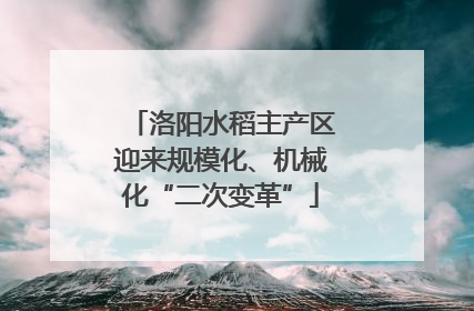 洛阳水稻主产区迎来规模化、机械化“二次变革”