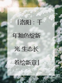 洛阳：千年釉色绽新光 生态长卷绘新章