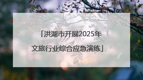 洪湖市开展2025年文旅行业综合应急演练