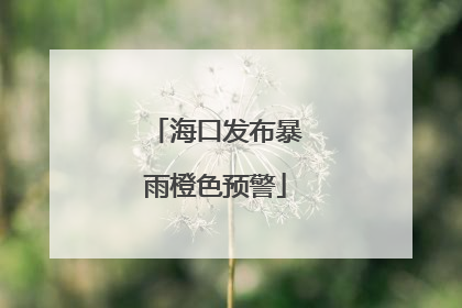 海口发布暴雨橙色预警