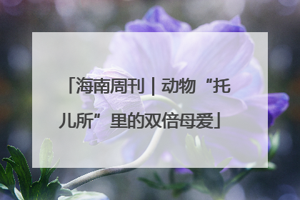 海南周刊｜动物“托儿所”里的双倍母爱