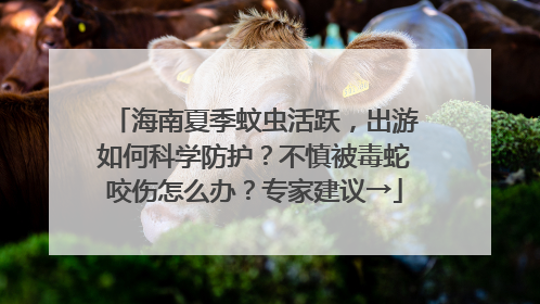 海南夏季蚊虫活跃，出游如何科学防护？不慎被毒蛇咬伤怎么办？专家建议→