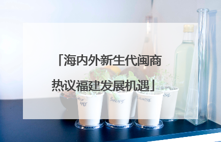 海内外新生代闽商热议福建发展机遇