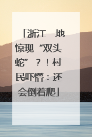 浙江一地惊现“双头蛇”？！村民吓懵：还会倒着爬