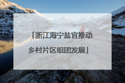 浙江海宁盐官推动乡村片区组团发展