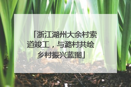 浙江湖州大余村索道竣工，与潞村共绘乡村振兴蓝图