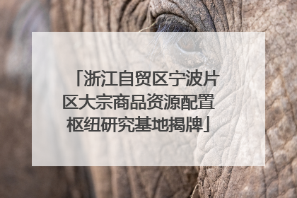 浙江自贸区宁波片区大宗商品资源配置枢纽研究基地揭牌