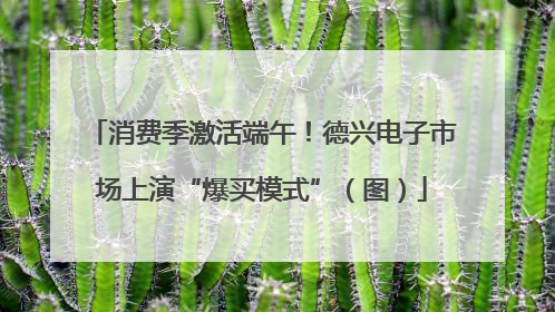 消费季激活端午！德兴电子市场上演“爆买模式”（图）