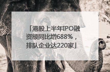 港股上半年IPO融资额同比增688%，排队企业达220家