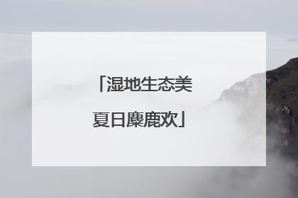 湿地生态美 夏日麋鹿欢