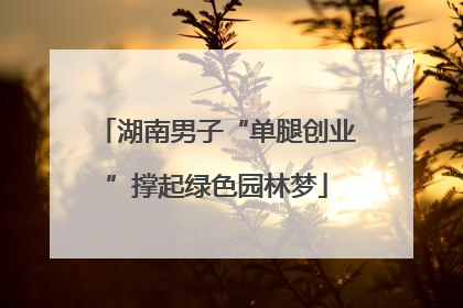 湖南男子“单腿创业”撑起绿色园林梦