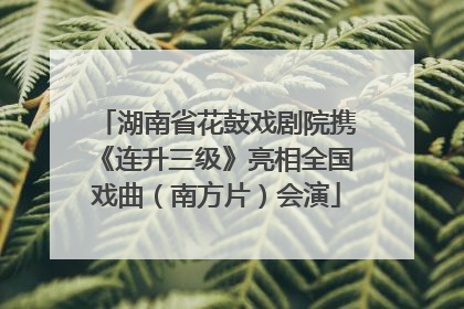 湖南省花鼓戏剧院携《连升三级》亮相全国戏曲（南方片）会演