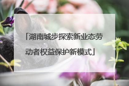湖南城步探索新业态劳动者权益保护新模式