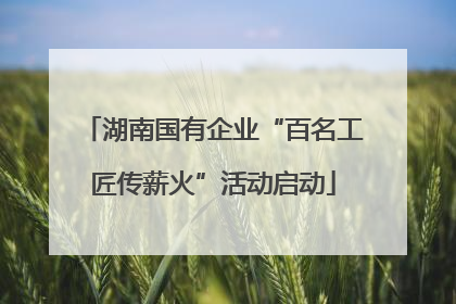湖南国有企业“百名工匠传薪火”活动启动