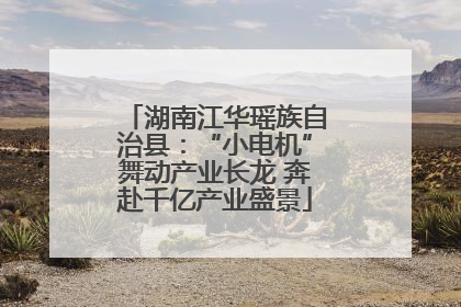 湖南江华瑶族自治县：“小电机”舞动产业长龙 奔赴千亿产业盛景
