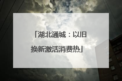 湖北通城：以旧换新激活消费热