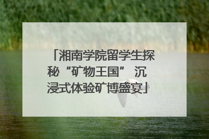 湘南学院留学生探秘“矿物王国” 沉浸式体验矿博盛宴