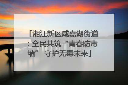 湘江新区咸嘉湖街道：全民共筑“青春防毒墙” 守护无毒未来
