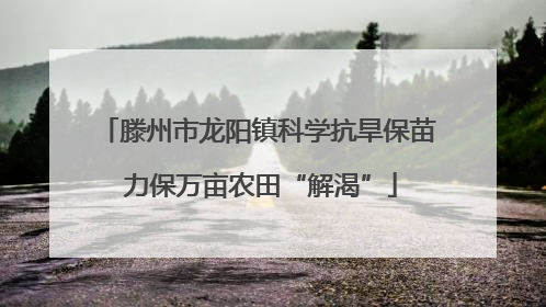 滕州市龙阳镇科学抗旱保苗 力保万亩农田“解渴”
