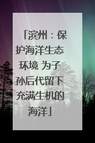 滨州：保护海洋生态环境 为子孙后代留下充满生机的海洋