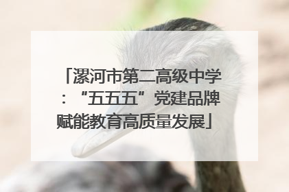 漯河市第二高级中学：“五五五”党建品牌赋能教育高质量发展