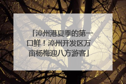 漳州港夏季的第一口鲜！漳州开发区万亩杨梅迎八方游客