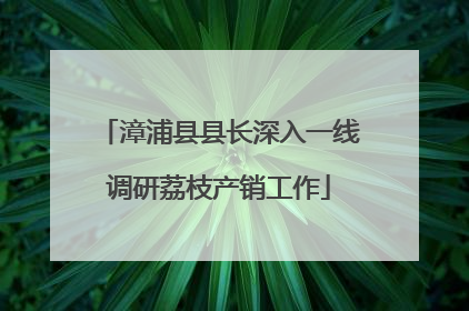 漳浦县县长深入一线调研荔枝产销工作