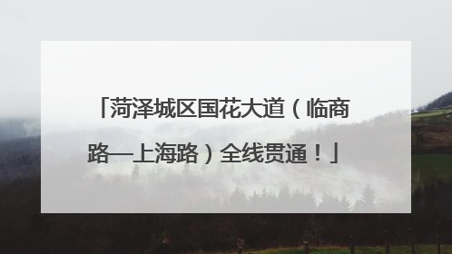 菏泽城区国花大道（临商路—上海路）全线贯通！