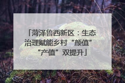 菏泽鲁西新区：生态治理赋能乡村“颜值”“产值”双提升