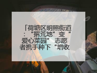 荷塘区明照街道：“撂荒地”变“爱心菜园” 志愿者携手种下“增收希望”
