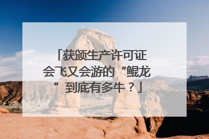 获颁生产许可证 会飞又会游的“鲲龙”到底有多牛？