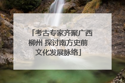 考古专家齐聚广西柳州 探讨南方史前文化发展脉络