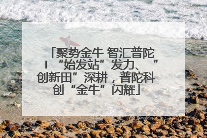 聚势金牛 智汇普陀〡“始发站”发力、“创新田”深耕，普陀科创“金牛”闪耀