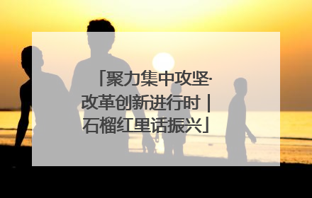 聚力集中攻坚·改革创新进行时｜石榴红里话振兴