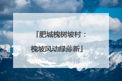 肥城槐树坡村：槐坡风动绿藤新