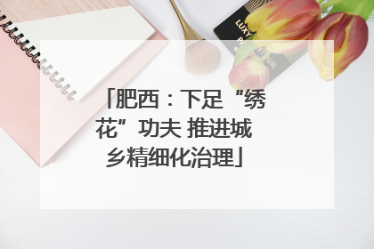 肥西：下足“绣花”功夫 推进城乡精细化治理