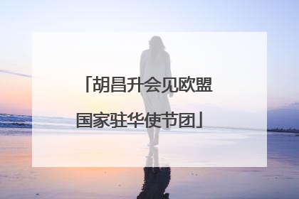 胡昌升会见欧盟国家驻华使节团