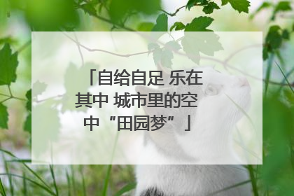 自给自足 乐在其中 城市里的空中“田园梦”