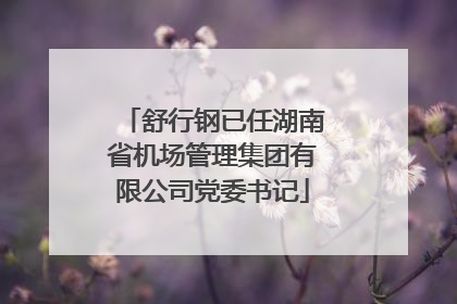 舒行钢已任湖南省机场管理集团有限公司党委书记