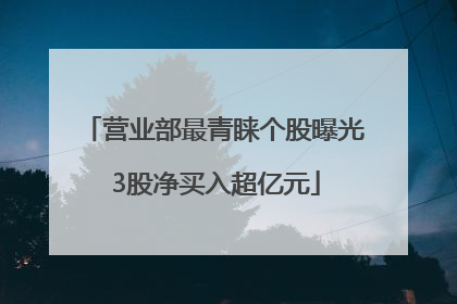 营业部最青睐个股曝光 3股净买入超亿元