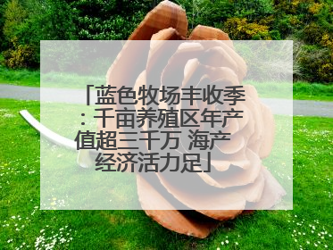 蓝色牧场丰收季：千亩养殖区年产值超三千万 海产经济活力足