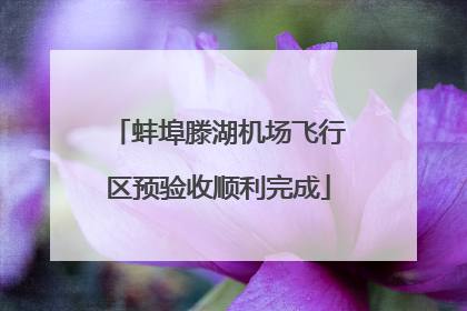 蚌埠滕湖机场飞行区预验收顺利完成