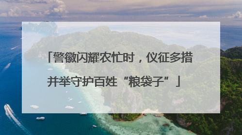 警徽闪耀农忙时，仪征多措并举守护百姓“粮袋子”