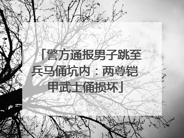 警方通报男子跳至兵马俑坑内：两尊铠甲武士俑损坏