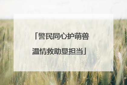 警民同心护萌兽 温情救助显担当
